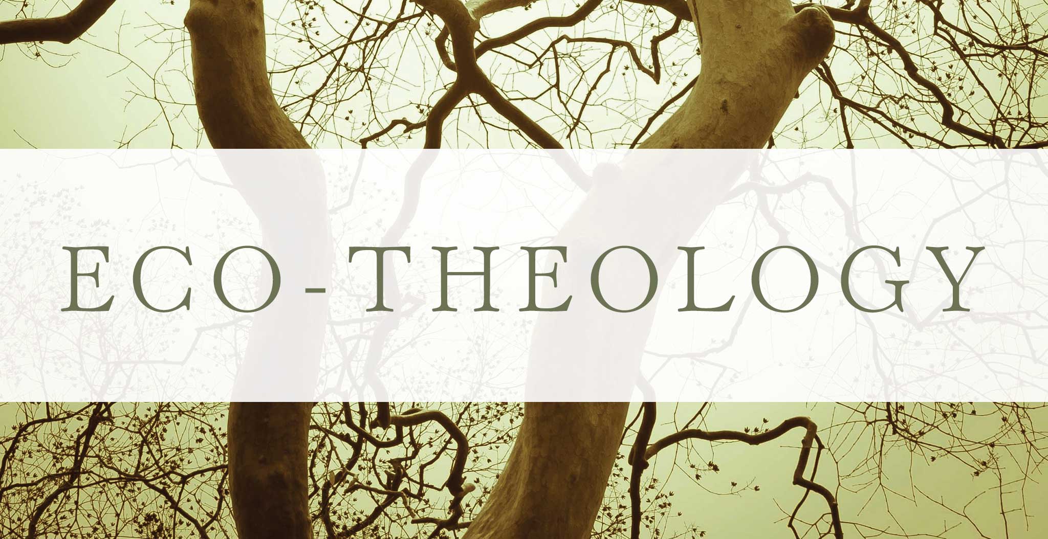 Eco-theology banner image